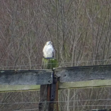 Au Coeur Des Collines, Charmette