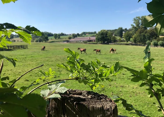Au Coeur Des Collines, Charmette Hébergement de vacances