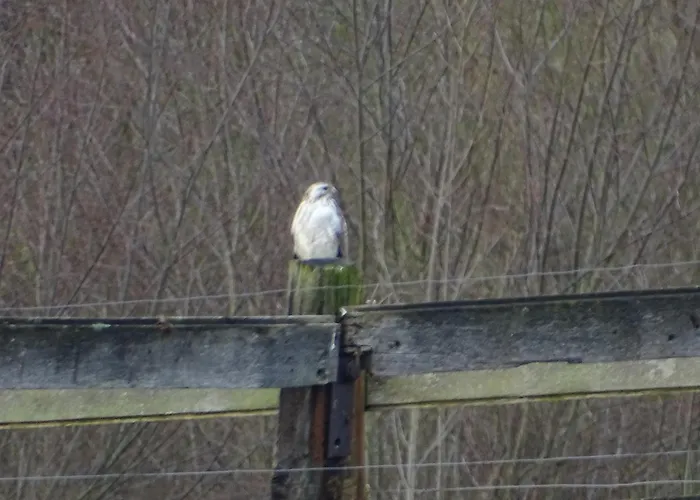 Au Coeur Des Collines, Charmette